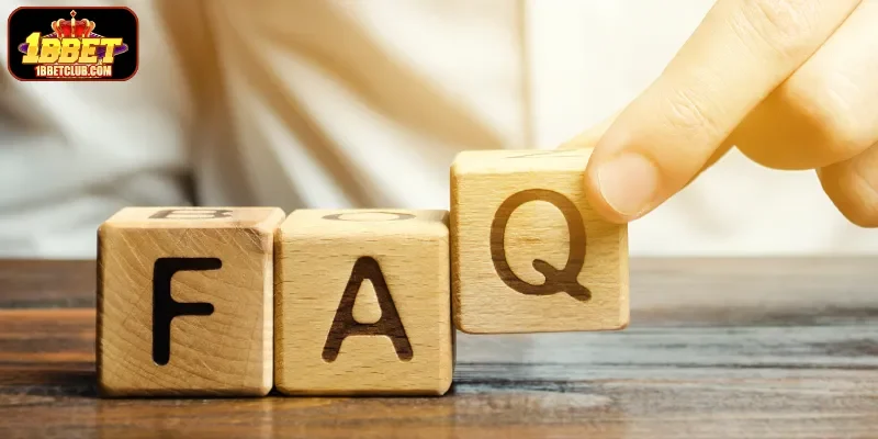 Common Questions About 1BBET Answered